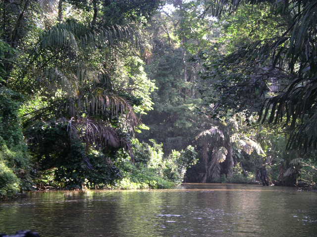 Tortuguero waterway.JPG