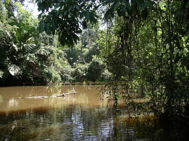 Muddy water.JPG
