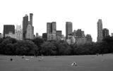 central park lawn