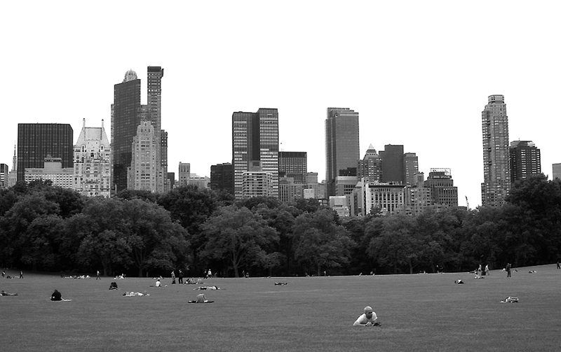 central park lawn