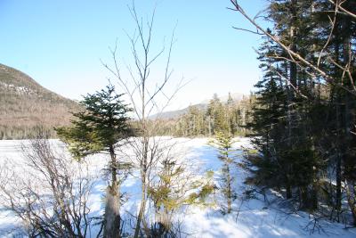 IMG_0782.JPG