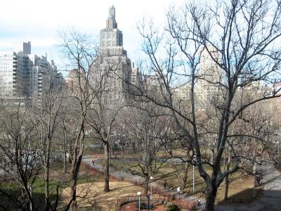 North View from NYU Library