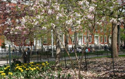 Washington Square North - East of Fifth Avenue