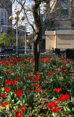 View of WSS toward the NYU Student Center & LaGuardia Place