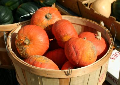 Pumpkins in a Basket