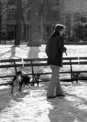 Walking the Dog in Washington Square Park
