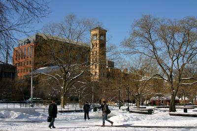 Walking Through Washington Square Park on a Brilliant Winter Day