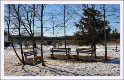 u39/hlsweeney/medium/39423073.020505_OffLeash.jpg