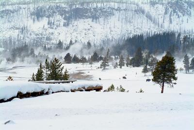 upper geyser basin.jpg