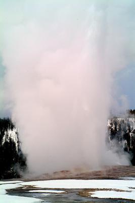 old faithful4.jpg