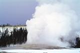 Yellowstone Park in winter