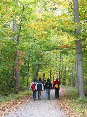 Walking path in St Bruno Park 7