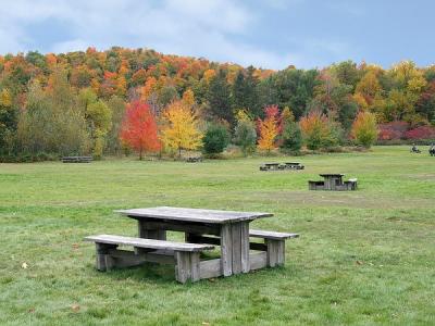 Autumn in St Bruno Park 9