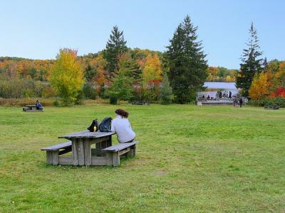 Autumn in St Bruno Park 16
