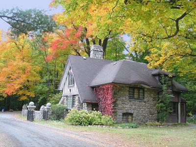 Autumn in St Bruno Park 6
