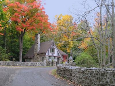 Autumn in St Bruno Park 11