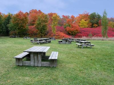 Autumn in St Bruno Park 2