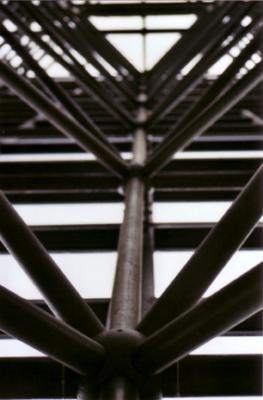 Javits 11
