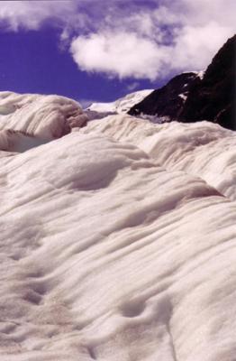Fox Glacier 2