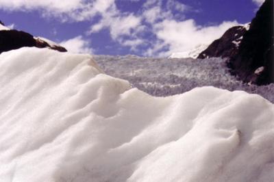 Fox Glacier 3