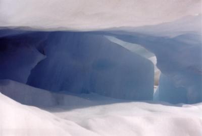 Fox Glacier 7