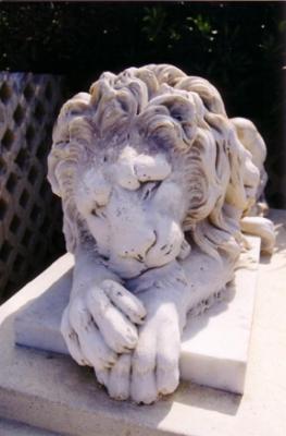 Sleeping Lion
