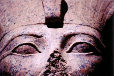 Eyes of a Pharaoh