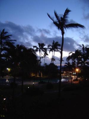 DSC00228.jpg