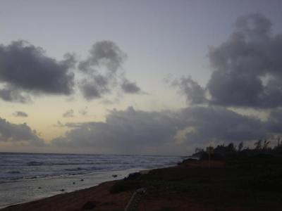 DSC00231.jpg