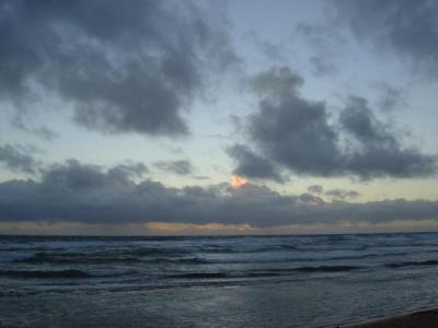 DSC00232.jpg