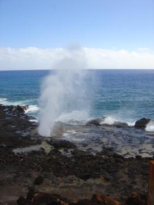 Fern Grotto and Poipu Blow Hole