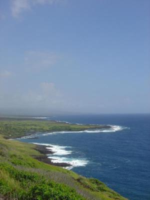 DSC00483.jpg