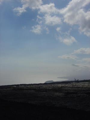 DSC00528.jpg