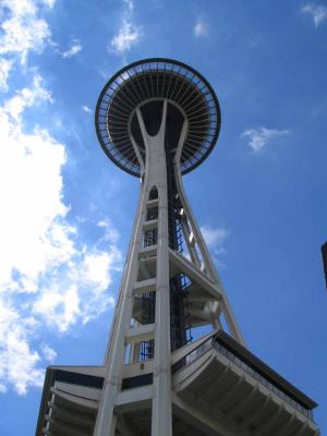 Needle