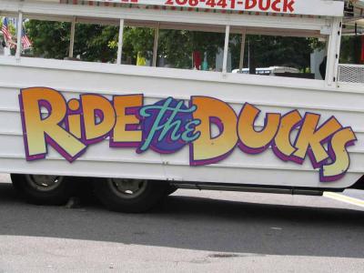 Big Duck