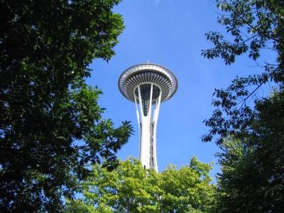 Needle