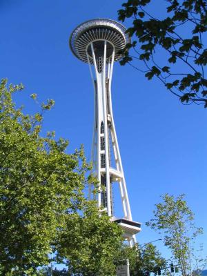 Needle