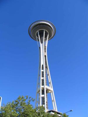 Needle