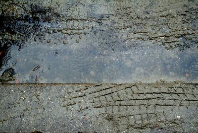 DSCF8955.jpg