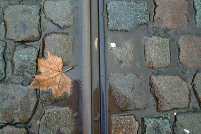 DSCF8956.jpg