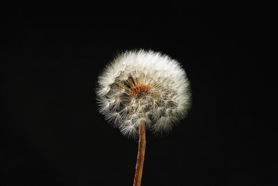 plus 3 full frame for web.jpg
