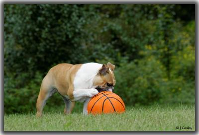 Playing Ball