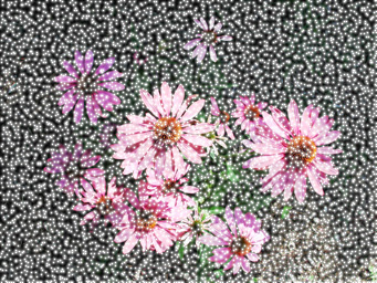 Flower+snow2 copy.jpg