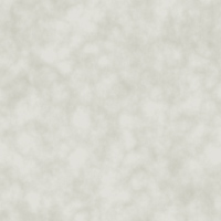 pagebckg3.jpg