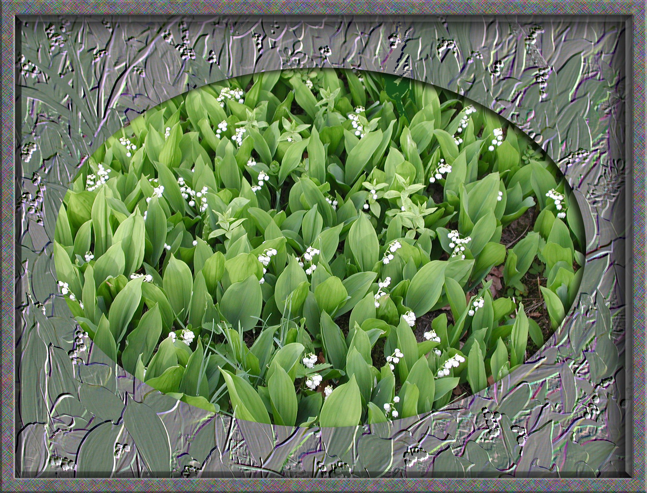 LillyoftheValley copy.jpg