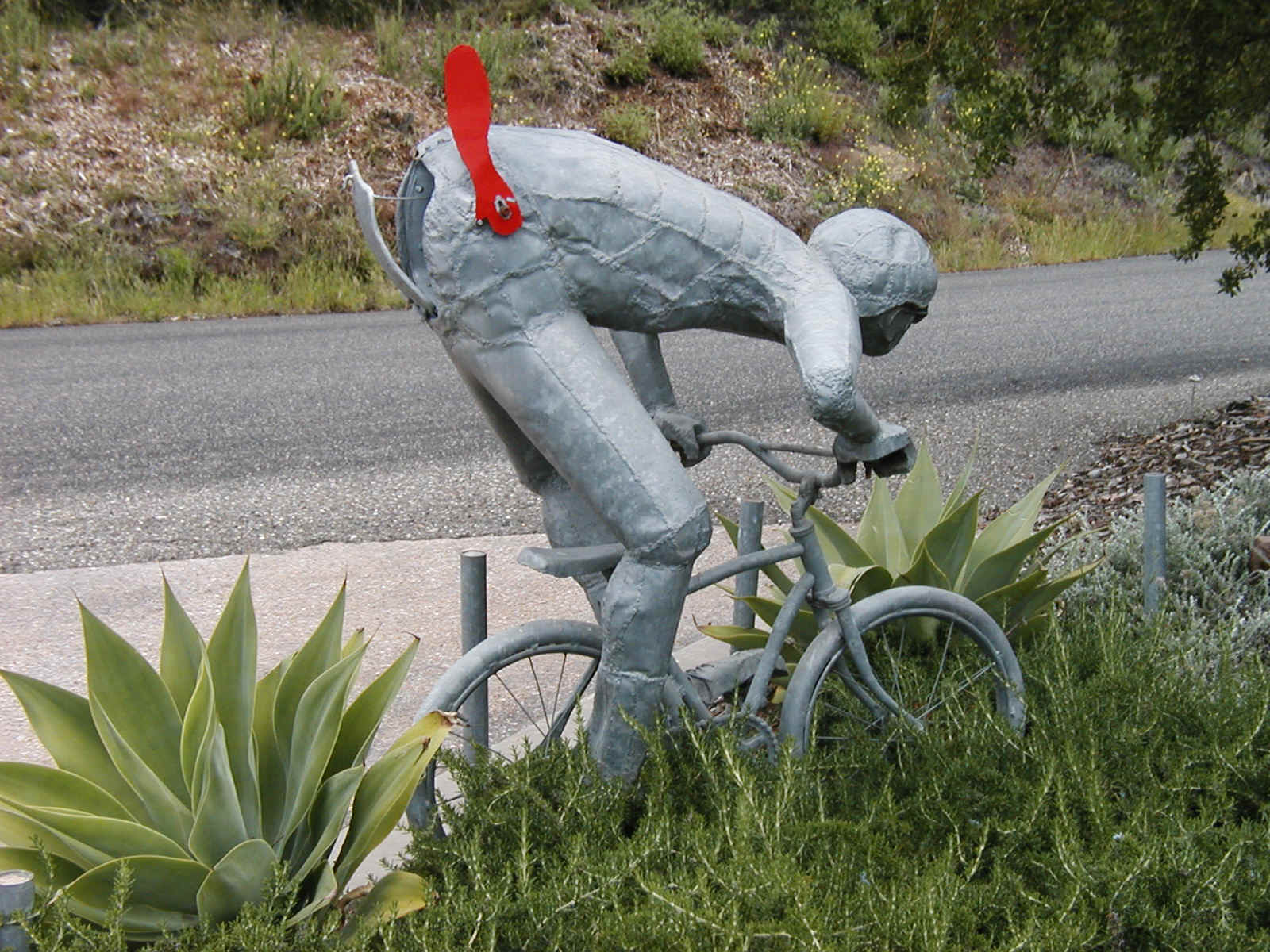 Bicycle Mail Box