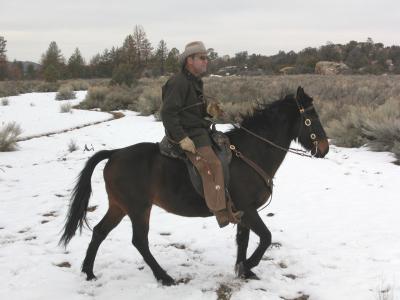 Riding in the Snow