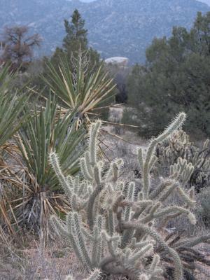 Baja scenery