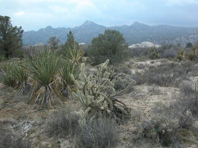 Winter At Rancho El Topo, Baja, Mexico