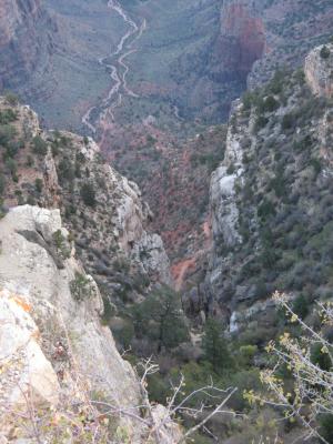 Looking down on Bright Angel Trail